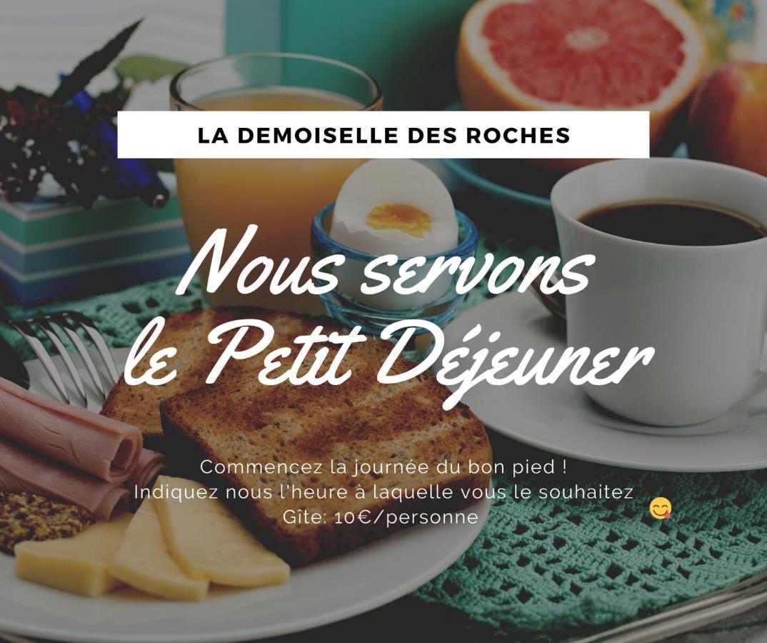 Demoiselle Des Roches Apartment Ramonchamp Ngoại thất bức ảnh