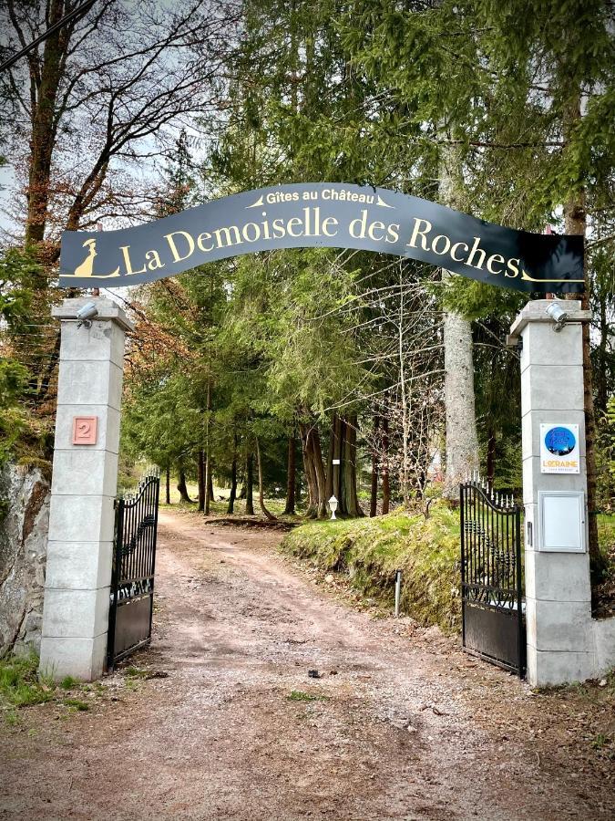 Demoiselle Des Roches Apartment Ramonchamp Ngoại thất bức ảnh